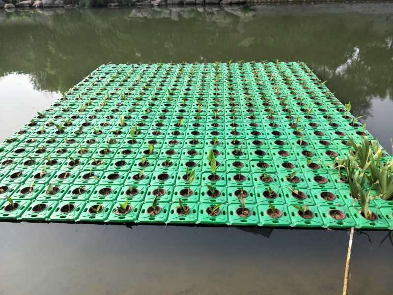 安庆桐城水生种植浮盆厂家地址2022已更新（今日/更新）